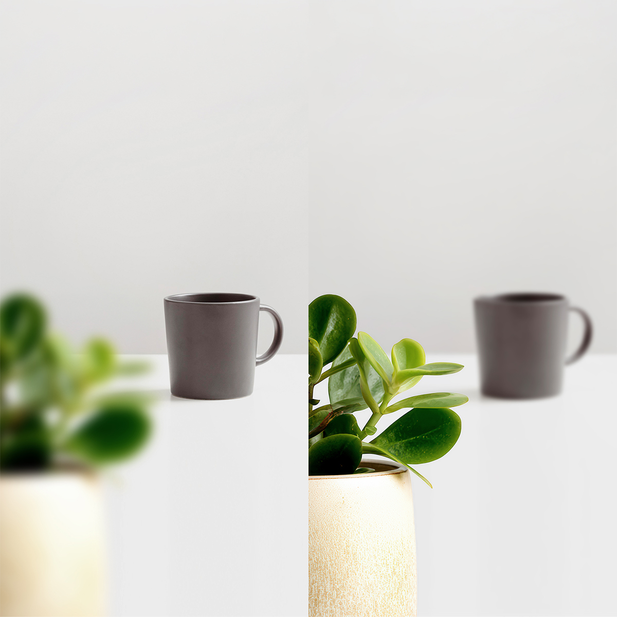 Glasses for near and far vision in one pair: is it finally possible?
